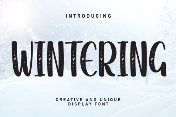Wintering Font: Handwritten Display Type for Engaging Campaigns